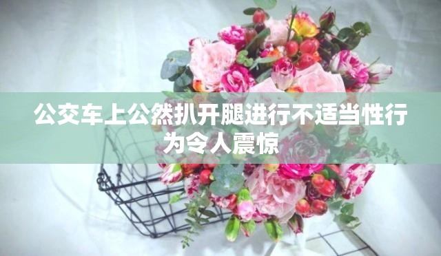 公交車(chē)上公然扒開(kāi)腿進(jìn)行不適當(dāng)性行為令人震驚
